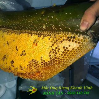 Mật Ong Rừng Thiên Nhiên - Ong Khoái