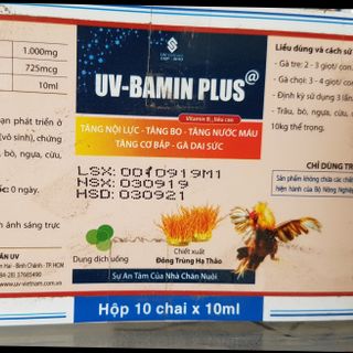 Uv Bamin Plus - thuốc uống Tăng bo tăng lực gà đá