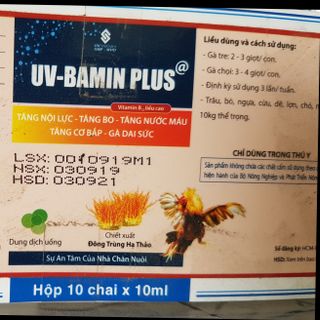 Uv Bamin Plus - thuốc uống Tăng bo tăng lực gà đá