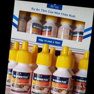 Uv Bamin Plus - thuốc uống Tăng bo tăng lực gà đá