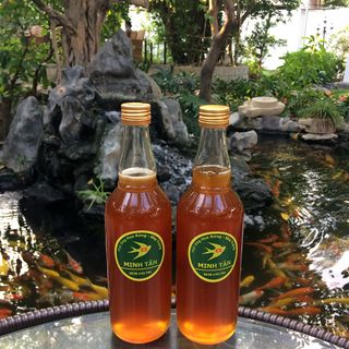 Mật Ong Ruồi Thiên Nhiên - Rừng Khánh Vĩnh