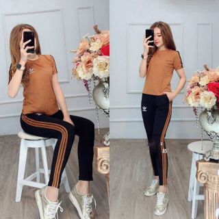 Bộ coton mịn đẹp N46