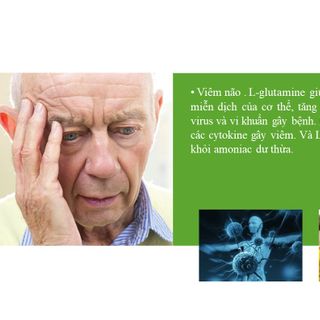 Viên Ngậm tăng sự tập trung Vita Carnoisin