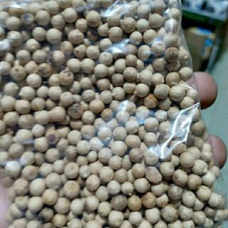 Tiêu sọ Đăk Lăk