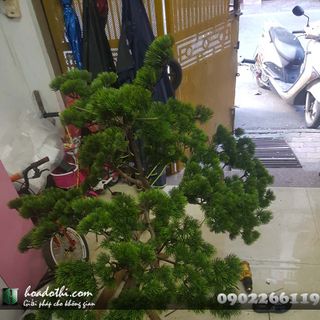 Chậu cây cảnh giả Cây giả trang tria nội thất