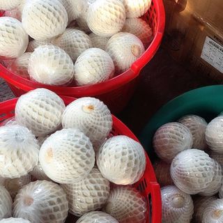 Dừa Trọc Bến Tre