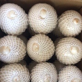 Dừa Trọc Bến Tre