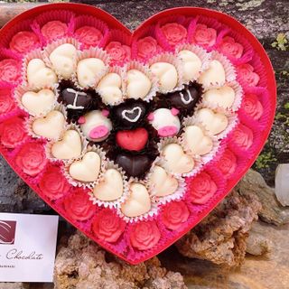 Chocolate Bỉ Giá Rẻ 2023
