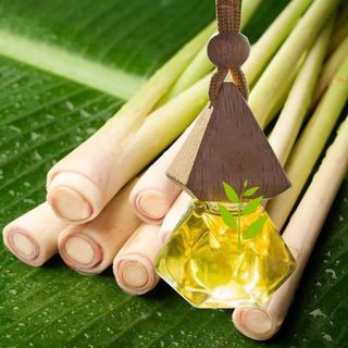 Miễn phí ship mã N1 Tinh dầu treo xe ô tô treo phòng khử mùi và thư giãn
