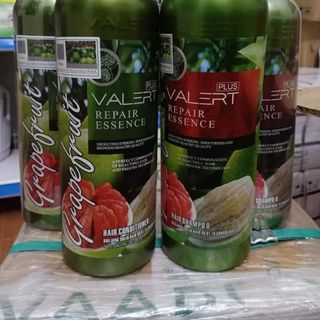 Cặp Dầu Gội Xả Bưởi Mẫu Mới