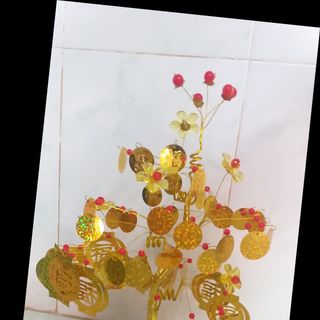 Cây đồng tiền cành vàng lá ngọc