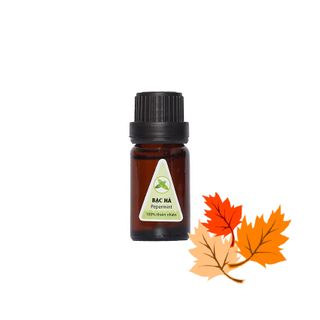 Tinh dầu quế lọ 10ml