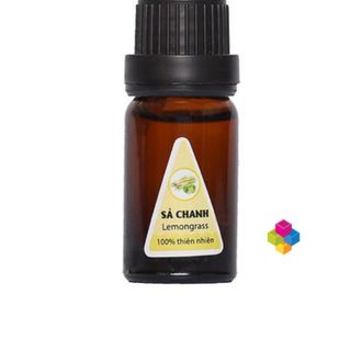 Tinh dầu bưởi xông phòng 10ml