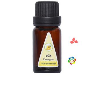 Tinh dầu quế xông thơm phòng lọ 10ml