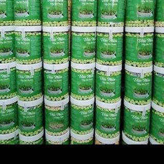 Kẹo mầm hồng sâm tăng V1
