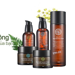 Tinh chất Argan cao cấp Ecotre - Argan Aroma Serum 40ml