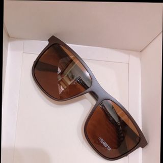 Kính nam tròng phin