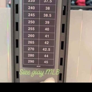 Giày MLB boston