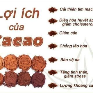 Bột Cacao Nguyên Chất Đaklak - 500g