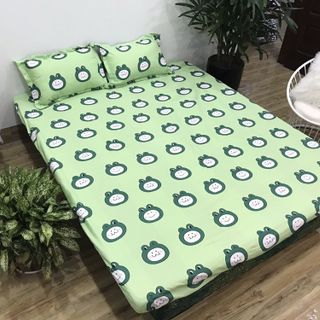 Poly hè trần bông new