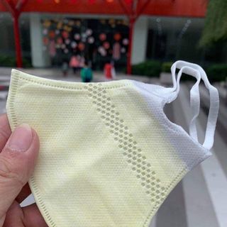 Khẩu trang 3D