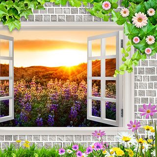 Tranh 3D Dán Tường Giá Sỉ Toàn Quốc
