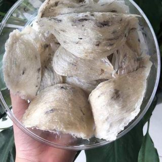 Yến Sào Nhà Nuôi