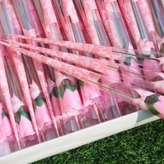 Đủ màu bông hồng sáp nguyên cây