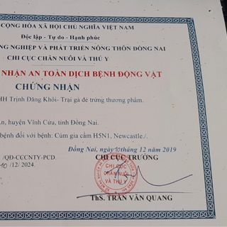 Chuyên cung cấp các loại trứng Gà CN trứng vịt trứng cút trứng vịt trứng gà ac gà ri giá sỉ