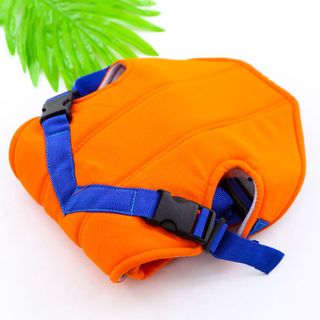 ĐỊU 4 TƯ THẾ ROYAL BAO0281