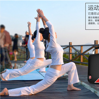 Loa trợ giảng Malata 9001- Tặng kèm 1 mic LOA giá sỉ​ giá bán buôn