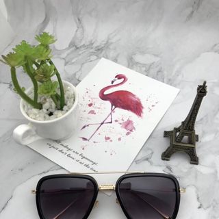 KÍNH MẮT GM DITAR