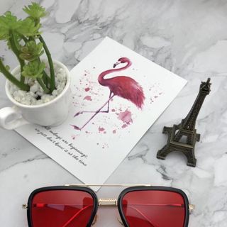 KÍNH MẮT GM DITAR