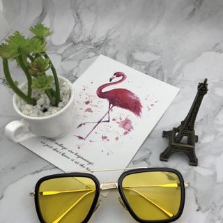 KÍNH MẮT GM DITAR