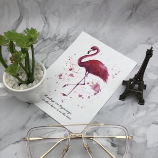 KÍNH MẮT GM DITAR