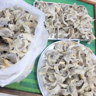 tổ yến nguyên chất nguyên tổ 100g