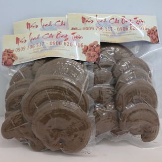 Nấm Linh Chi Đỏ Ông Tiên