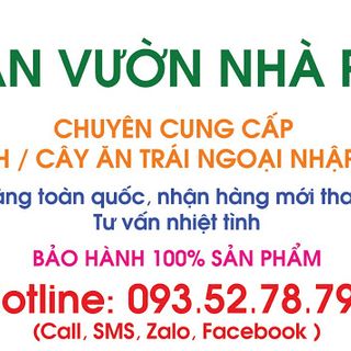 Tại sao nên chọn mua ngay Giống cây Cherry Brazil tại ALAN Vườn Nhà Phố