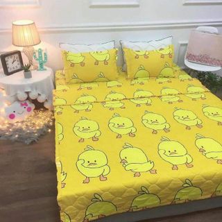 Bộ chăn ga gối - vỏ gối 5 món