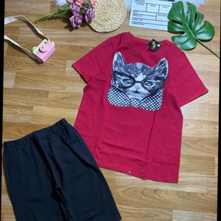 Bộ coton thái cao cấp Q14
