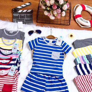 CHÀO SỈ BỘ COTTON KẺ