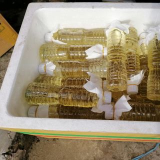 Dầu dừa nguyên chất Bến Tre