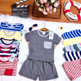 CHÀO SỈ BỘ COTTON KẺ