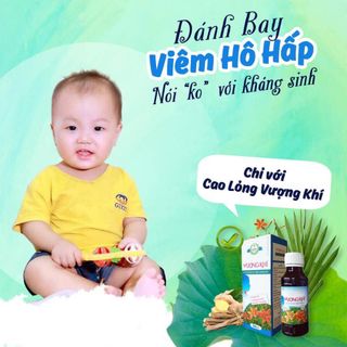 VƯỢNG KHÍ - ĐẶC TRỊ VIÊM HỌNGHO- NÂNG SỨC ĐỀ KHÁNG