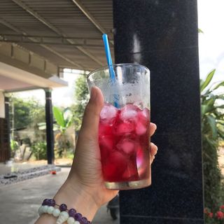 Nước cốt atiso đỏ