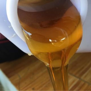 Mật ong nguyên chất chai 500ml/ chai - hình thật của