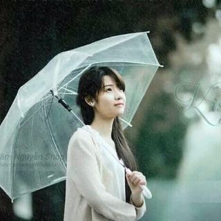Ô trong suốt cao cấp