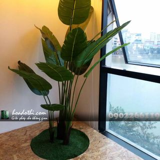 Chậu cây chuối giả
