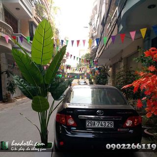 Chậu cây chuối giả