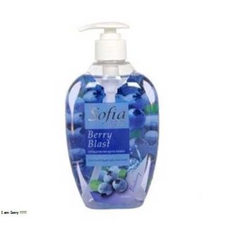 Gel Rửa Tay Diệt Khuẩn 250ml Sofia
